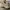 FILA Pantera 99 Shoes Sportwear Streetwear photo 3