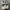 FILA Pantera 99 Shoes Sportwear Streetwear photo 2