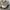 FILA Pantera 99 Shoes Sportwear Streetwear photo 4