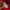 Tracktop Puma Big Logo Tapped photo 9