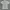 DSQUARED2 Luxury Avant Garde T-shirt Wanita gray photo 6