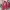 HOODIW WANITA PINK photo 1