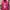 HOODIW WANITA PINK photo 5
