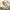Japanese brand Vintage Casual Casual shirt Pria tan cream photo 5