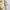 Japanese brand Vintage Casual Casual shirt Pria tan cream photo 3