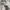 Polo Ralph Lauren Vintage Streetwear Short Kids khaki photo 3