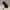 Handbag Louis Vuitton warna hitam photo 6
