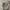 Levi's Streetwear Casual Dungaree Kids khaki cream photo 4