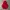 H&M Y2K Casual Hoody Kids Red