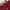 rose off shoulder top red maroon blouse atasan merah maroon  photo 2
