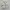 Cardigan Rajut knit white cardigan korean look elegant putih photo 1