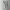 OOT ( OUT OF TREND ) WIDE CARGO SHORT PANT photo 2