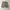 DUCK CAMO CAMOUFLAGE by AMERICAN EAGLE SHORT PANT photo 2