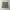 DUCK CAMO CAMOUFLAGE by AMERICAN EAGLE SHORT PANT photo 1