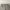 DUCK CAMO CAMOUFLAGE by AMERICAN EAGLE SHORT PANT photo 3