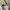 DUCK CAMO CAMOUFLAGE by AMERICAN EAGLE SHORT PANT photo 5