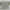 green floral flower crop top semi crop atasan lengan pendek  photo 4
