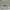 green floral flower crop top semi crop atasan lengan pendek  photo 3