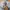 Uniqlo Streetwear Hoody Pria khaki gray photo 4