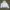 Gorpcore Bomber Jacket Pria White