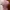 Bolero Cardigan Crop Korean Style Dusty Pink photo 4