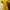 Disney Tigger Yellow Shirt photo 2