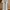 Zara | Outer Long Kimono Bordir  photo 1