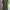 Tunik double slit tradisional photo 1