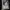 MaxMara Winter 2018-2019 T-shirt Women's photo 7