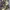X-Large Camo Shorts Cargo photo 7