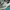 Vans Era Craft Podium Checkerboard photo 6