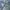 DU UNITED RIPPED BUCKLE BACK RELAXED LEG STRAIGHT photo 8
