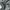 Plantation Issey Miyake Wideleg Baggy Pants photo 7