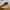 VANS OLDSKOOL VANSBUCK photo 4