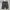 Jorts Gaifor Black photo 7