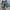 Jorts HR-CO blue distressed photo 9