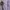 Covernat Casual Sweater Pria purple photo 4