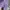 Covernat Casual Sweater Pria purple photo 5