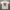 Wutang Brand Limited x CDG Eyes Rap Tee photo 1