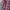 Pract Studio Outershirt 2 Pocket photo 5