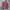 Pract Studio Outershirt 2 Pocket photo 1