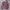 Pract Studio Outershirt 2 Pocket photo 3