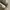 Nike air F1 triple white photo 5