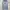 Vintage Pria Gray