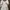 ASOS | Minidress V Neck Smoke Bordir Lace Katbol photo 2