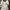 ASOS | Minidress V Neck Smoke Bordir Lace Katbol