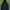The North Face Gorpcore Parka Pria Black