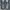 Bootcut Jeans Vanquish Gold Distresed  photo 3