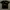 T-Shirt tee band official merch suara disko diskoria black photo 3