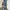 00’s blue jeans baggy made in Japanese  photo 1